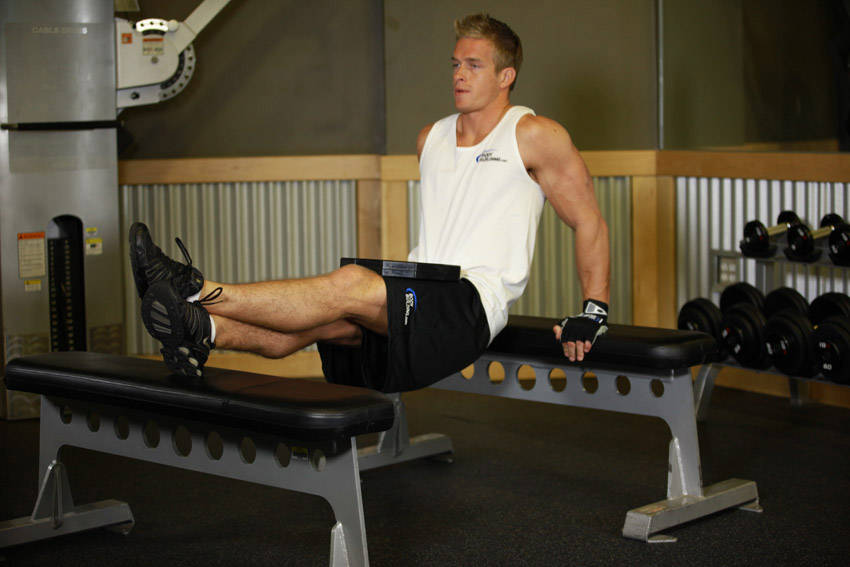 Weighted Bench Dip — starting position, working the triceps