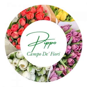 Pippo Campo de' Fiori