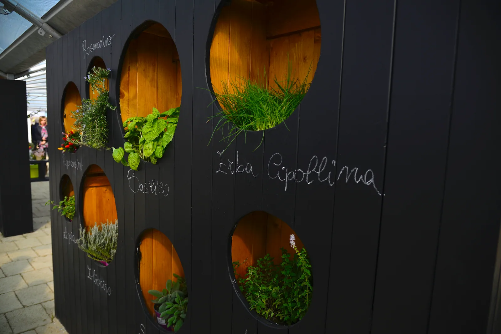 La parete delle erbe aromatiche