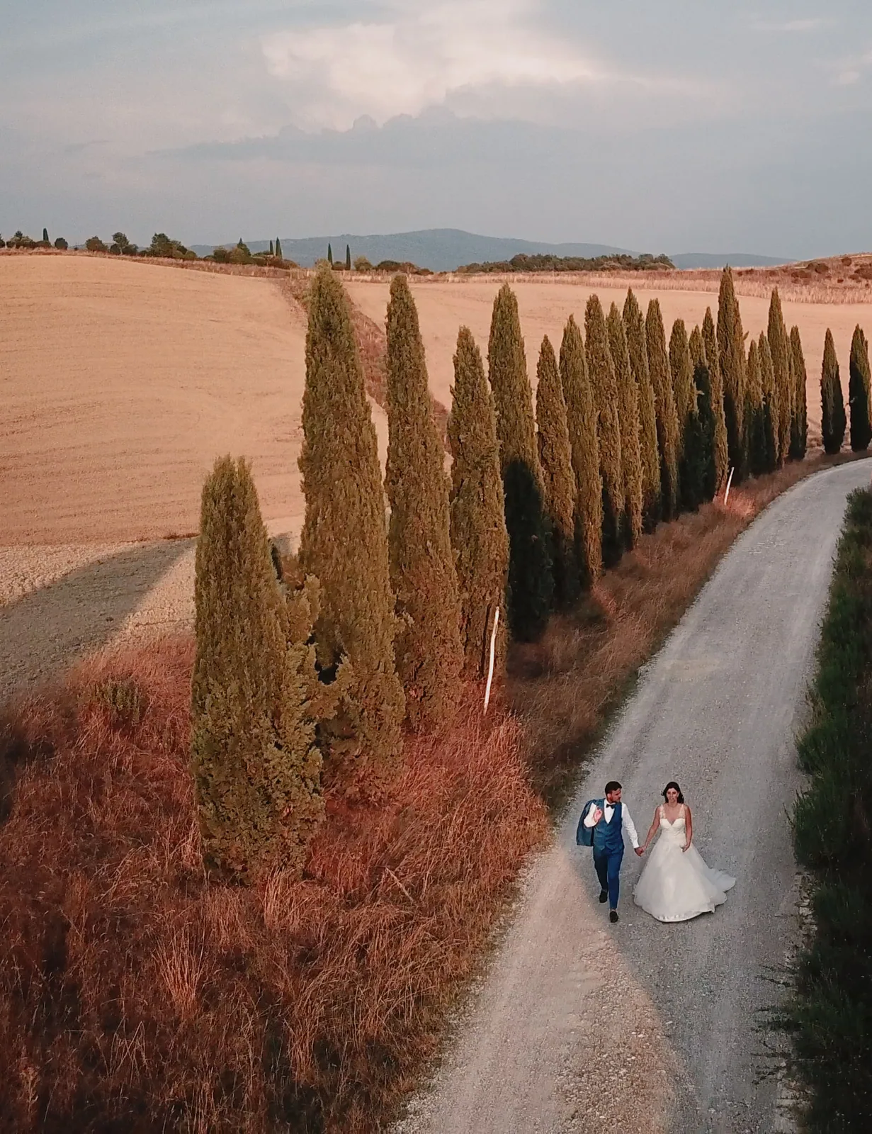 Il viale di cipressi