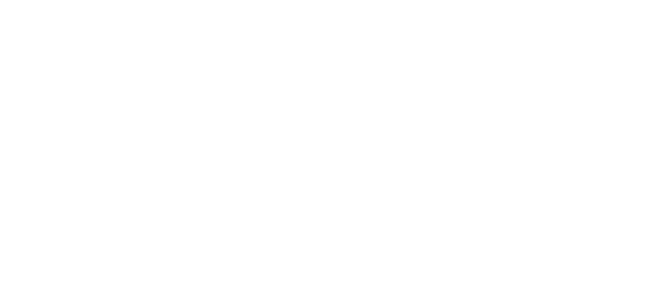 Nabis Photographers