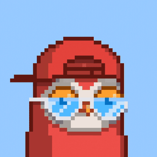 Animated Moonbird