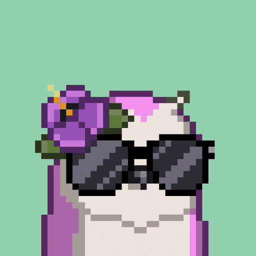 Animated Moonbird