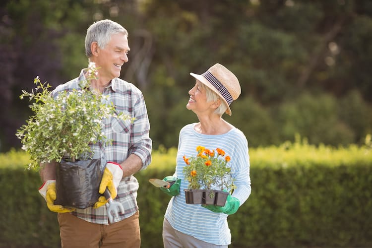 Discover the Secret Health Benefits of Gardening