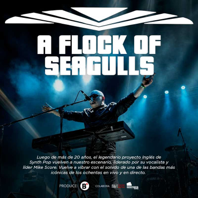 A Flock of Seagulls en vivo.