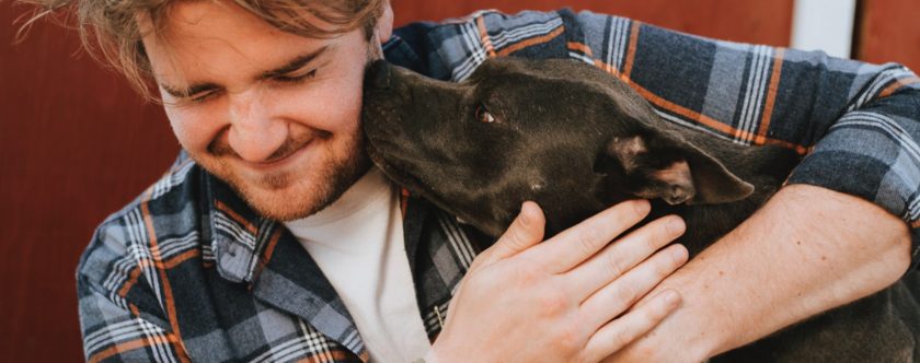 The pros and cons of pet-friendly offices