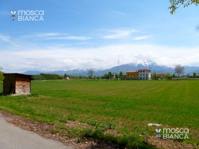 CUNEO (fraz. SPINETTA) - TERRENO EDIFICABILE RESIDENZIALE