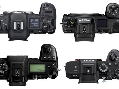 Nikon, Canon, Sony, Panasonic, JVC, Blackmagic, DSLR Cameras, Professional Cine Cameras, Professional Video Camcorders, 