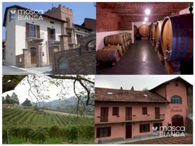 PODERI MORETTI cantina aperta al sabato e alla domenica per visita guidata e  degustazione pregiati vini di Alba Langhe e Roero 