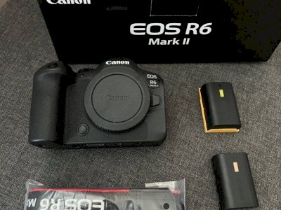 Canon EOS R6 Mark II, Canon EOS R3, Canon EOS R5, Canon EOS R6, Canon EOS R7, Canon EOS 1D X Mark III, Canon 5D Mark IV , Nikon Z9,  Nikon Z8, Nikon Z 7II, Nikon Z7 ,  Nikon D6, Nikon D850, Nikon D780