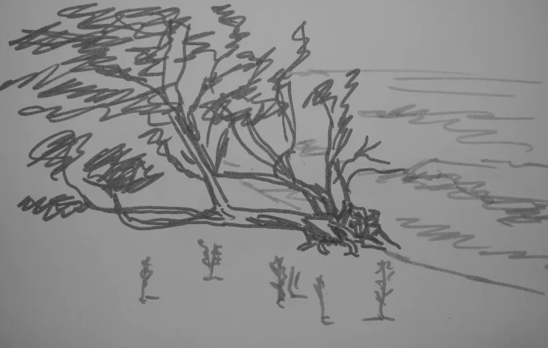 Илья Долгов. «Ландыш, чина», 2016. Тушь, бумага. Предоставлено автором