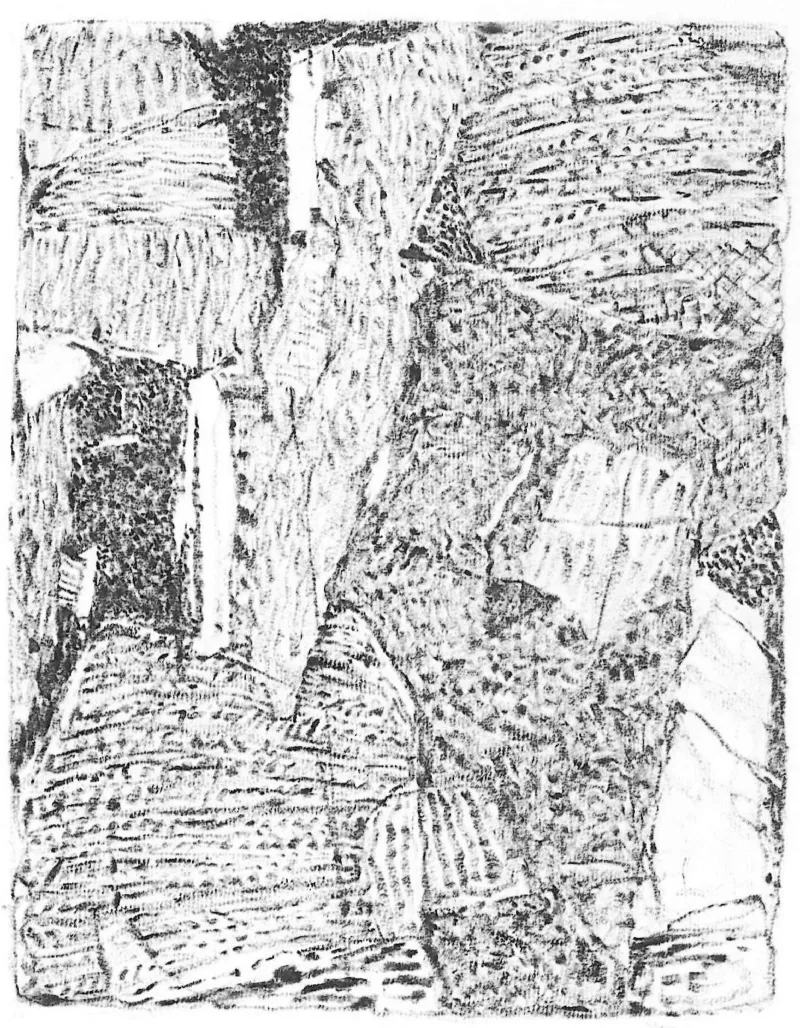 Эугениюс Антанас Цукерманас «Без названия», 1989.