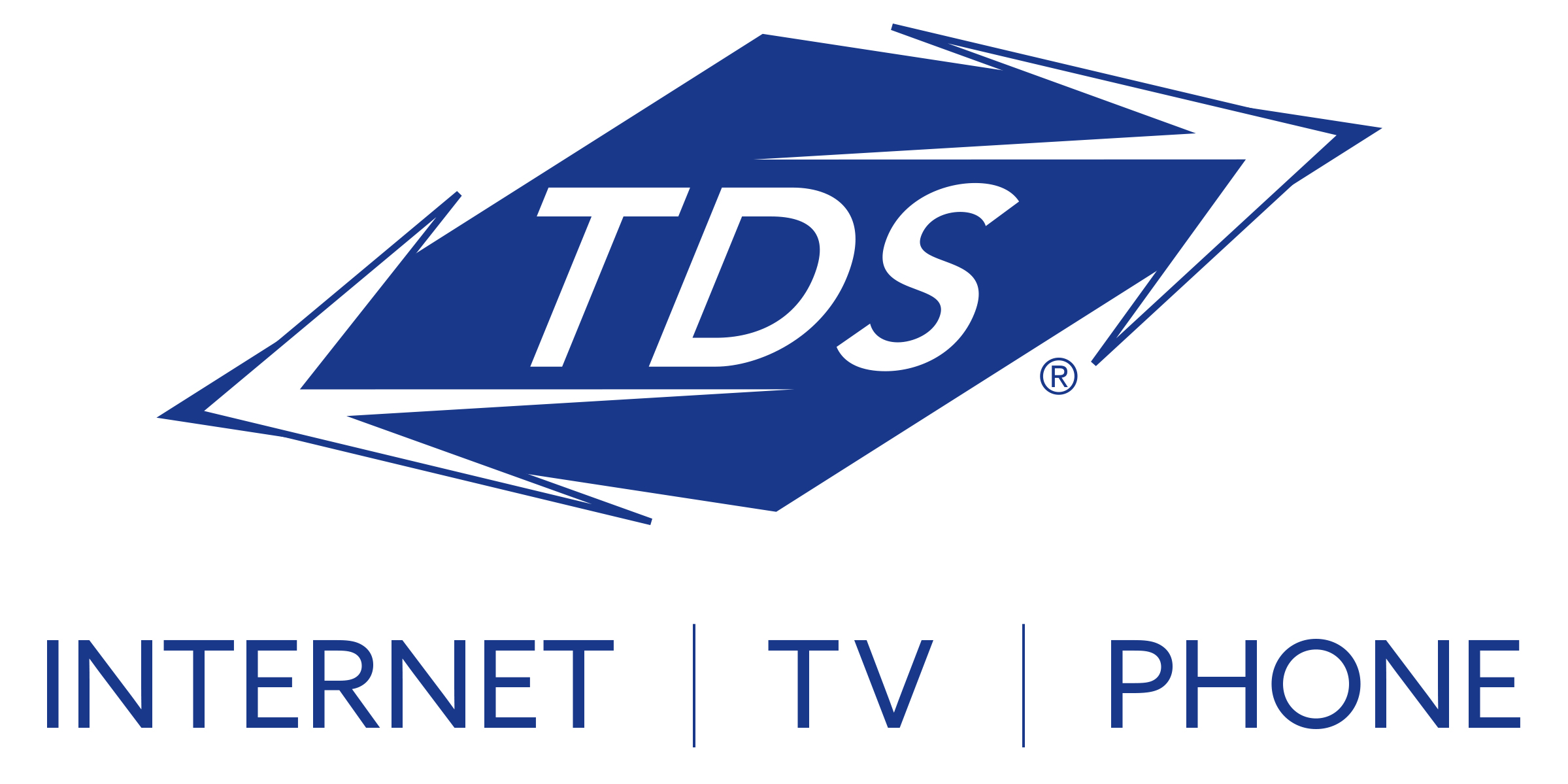 TDS Logo