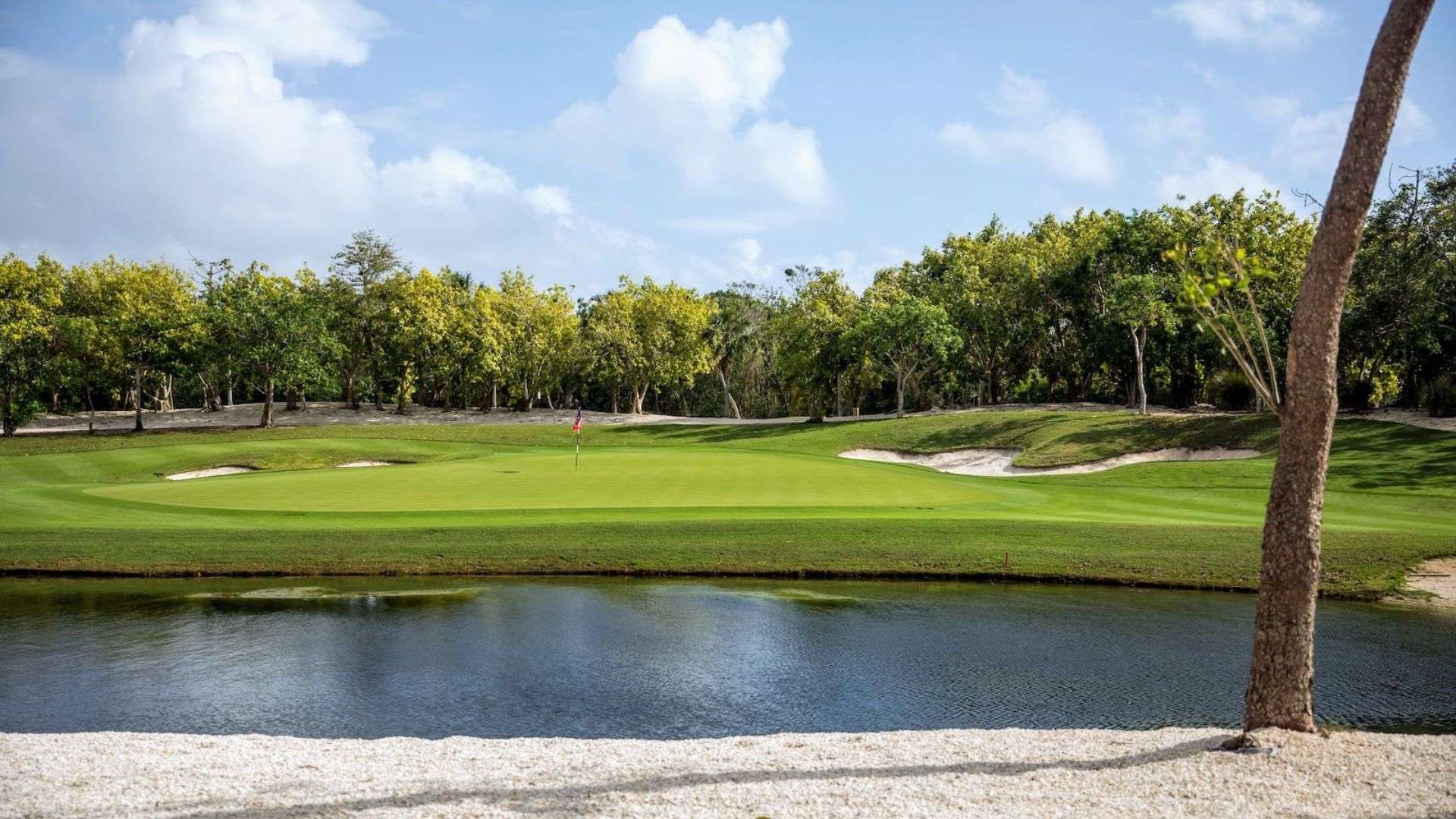 Swing into Paradise – Top 5 Golf Courses in Riviera Maya for Golf Enthusiasts and Dream Home Seekers