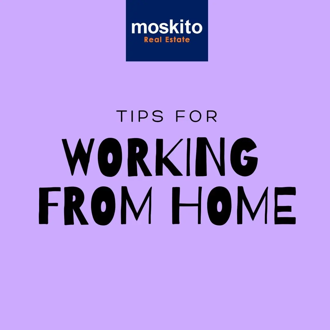 stay productive while working from home