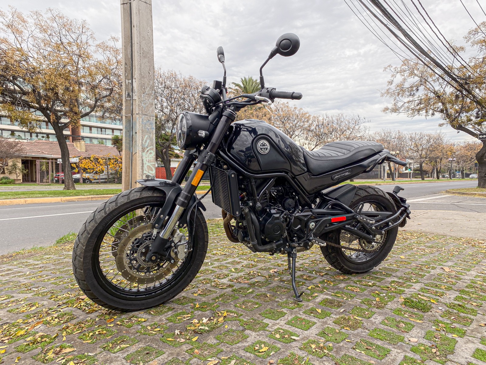 Benelli Leoncino 500
