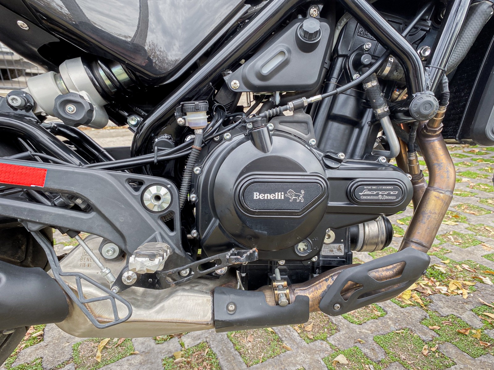 Benelli Leoncino 500 — foto 2 de 9