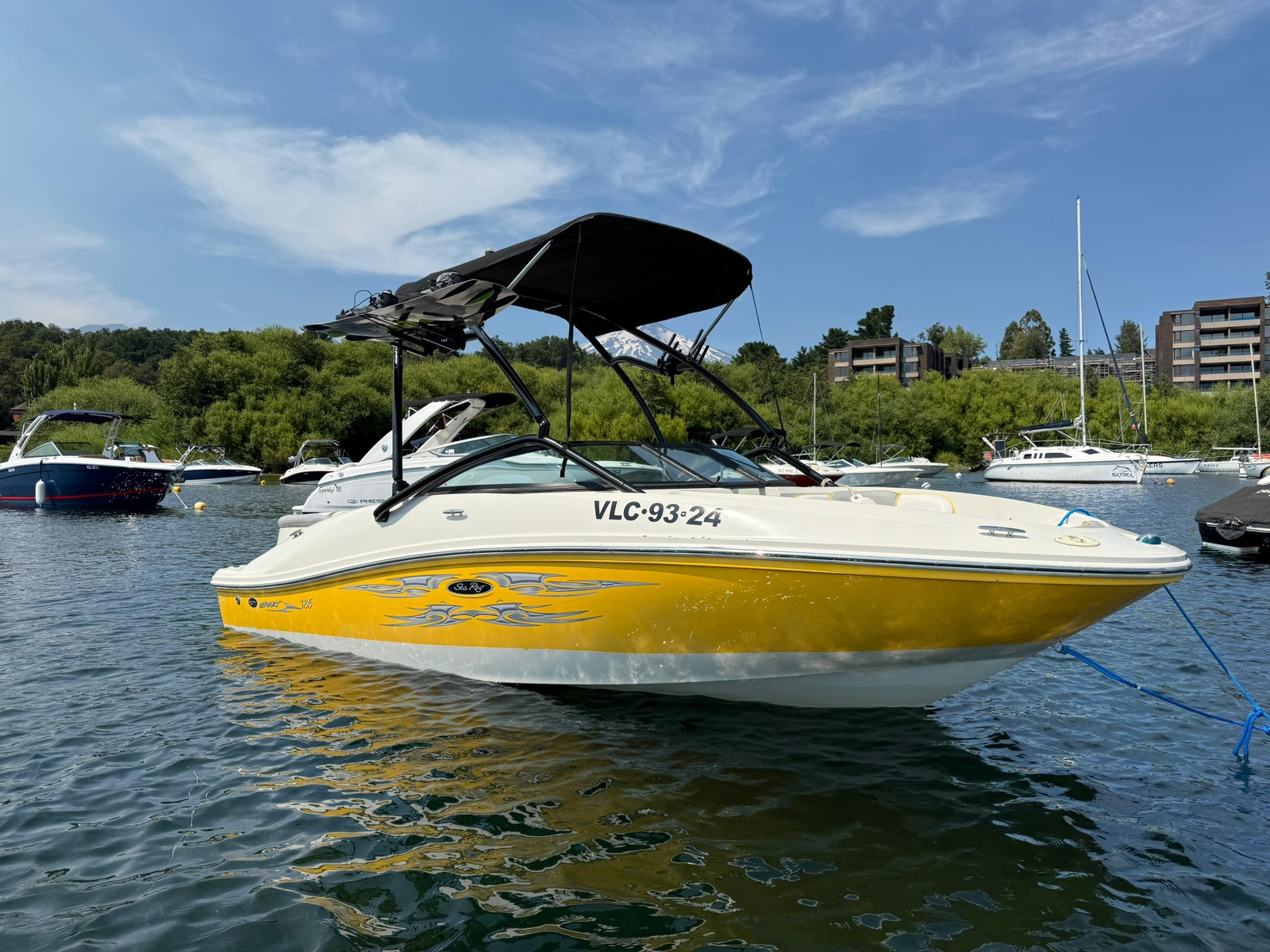 Sea Ray185
