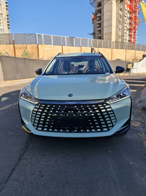 Dfm Aeolus Y3 — foto 3 de 12