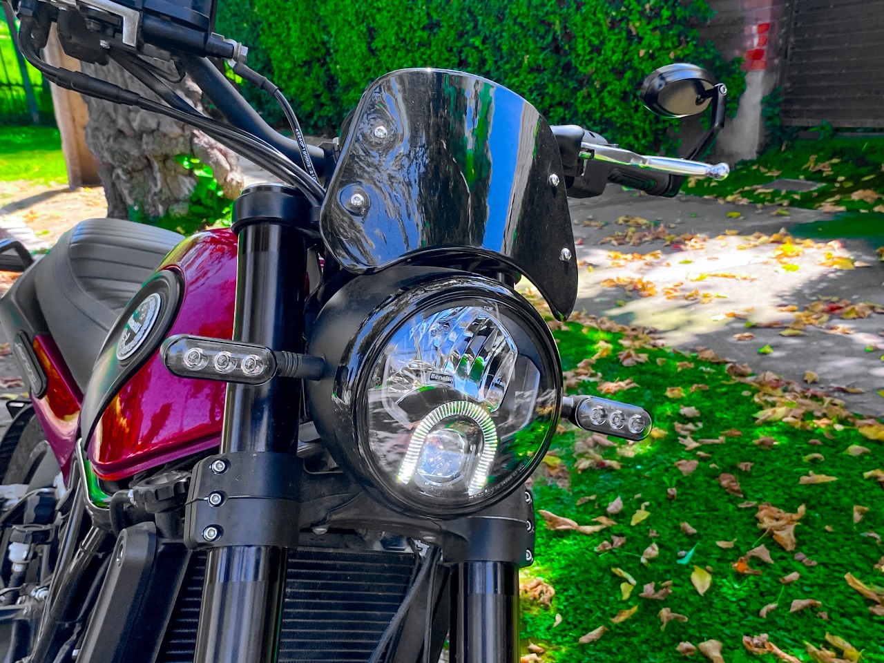 Benelli Leoncino 500 — foto 8 de 13