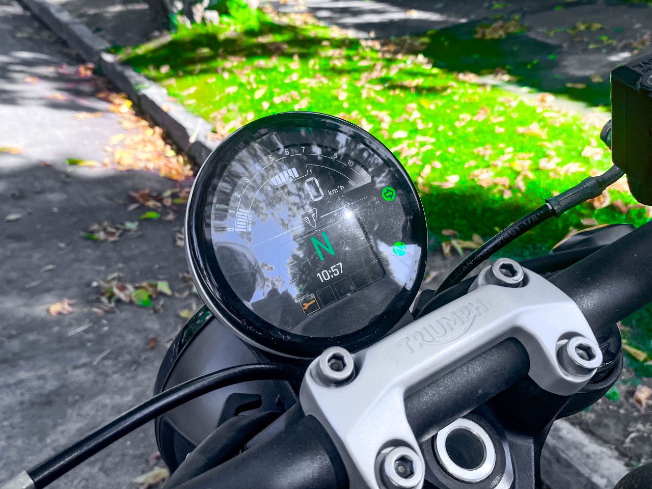 Benelli Leoncino 500 — foto 5 de 13