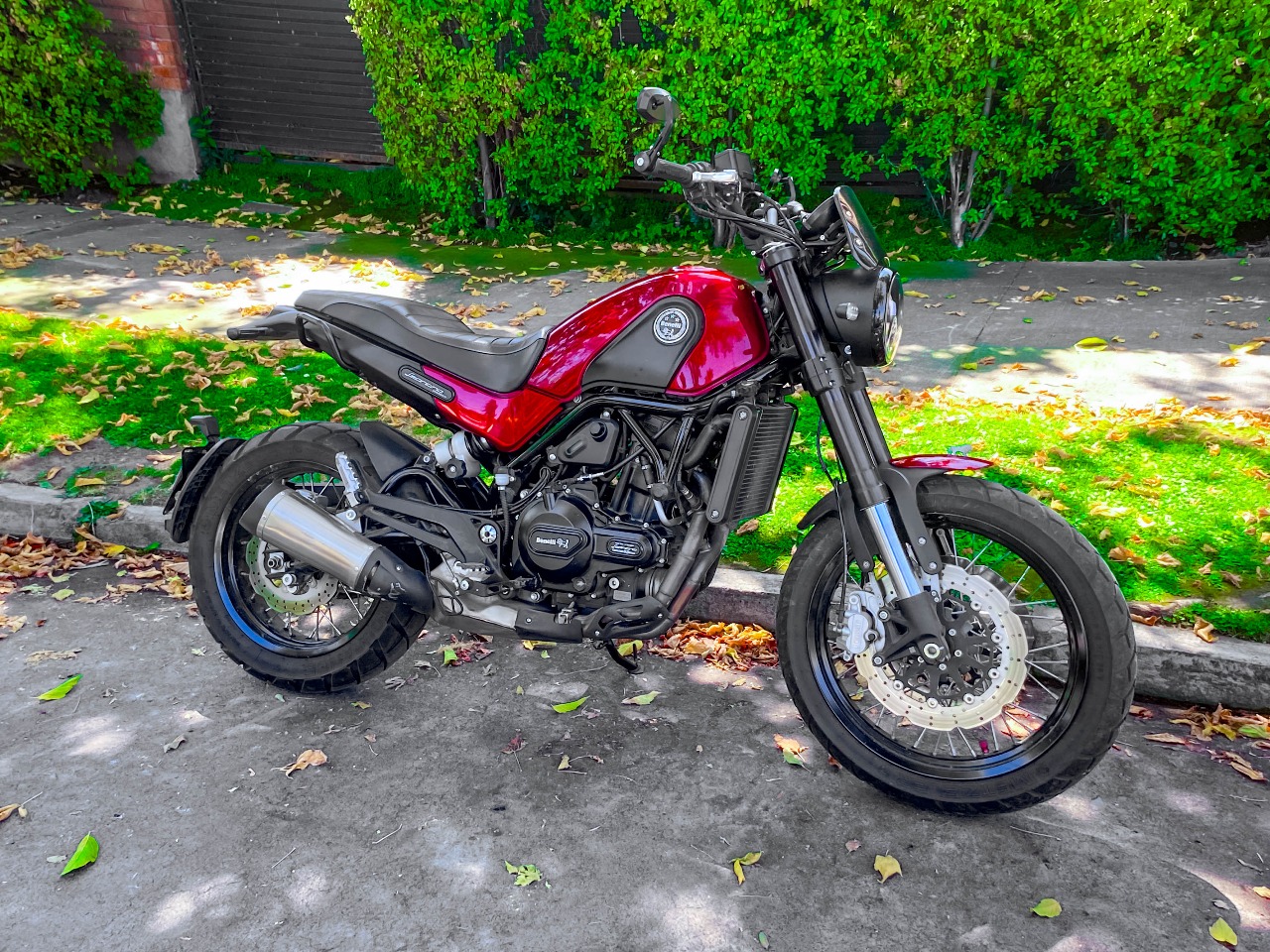 Benelli Leoncino 500