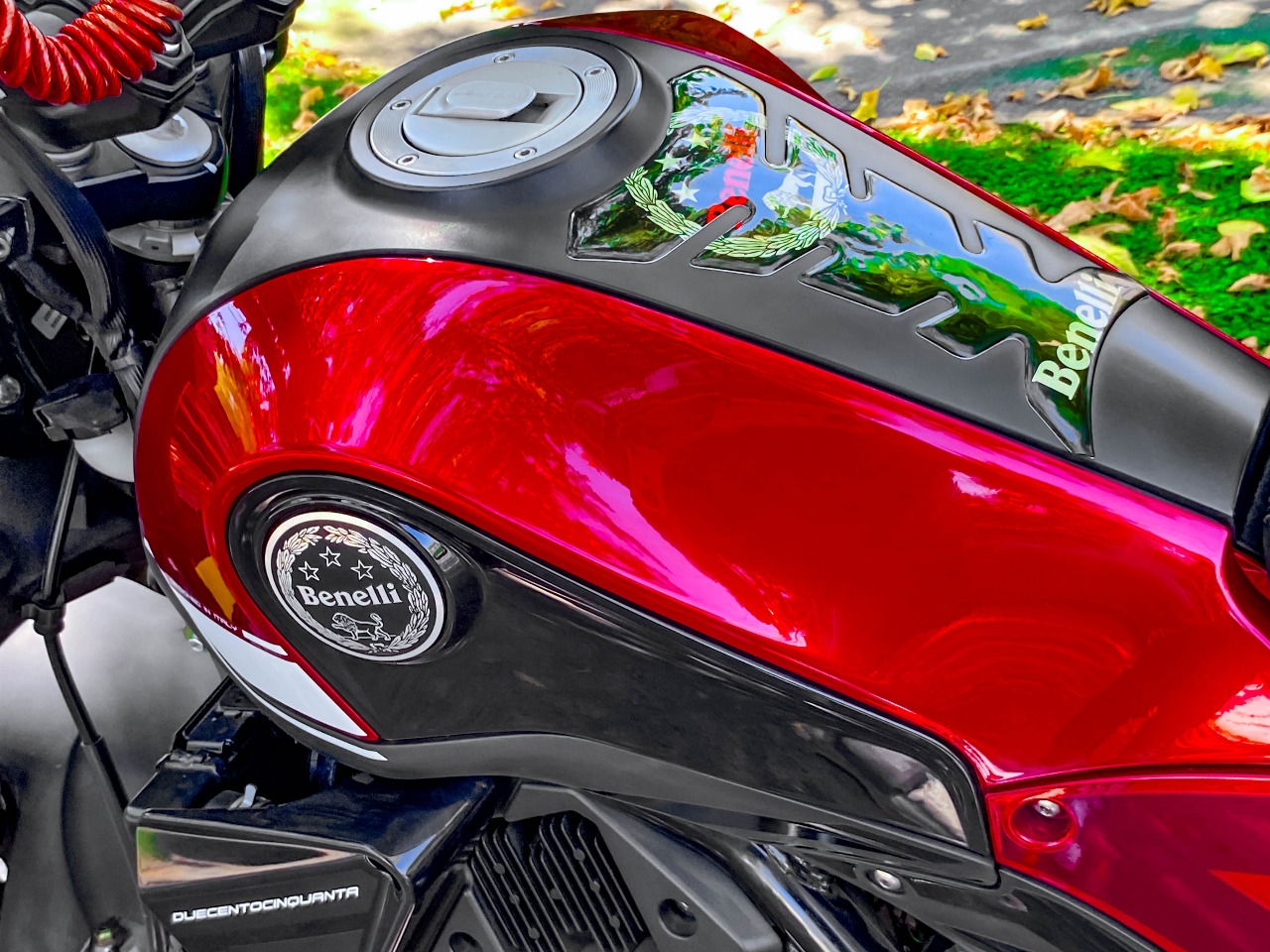 Benelli Leoncino 250 — foto 9 de 11