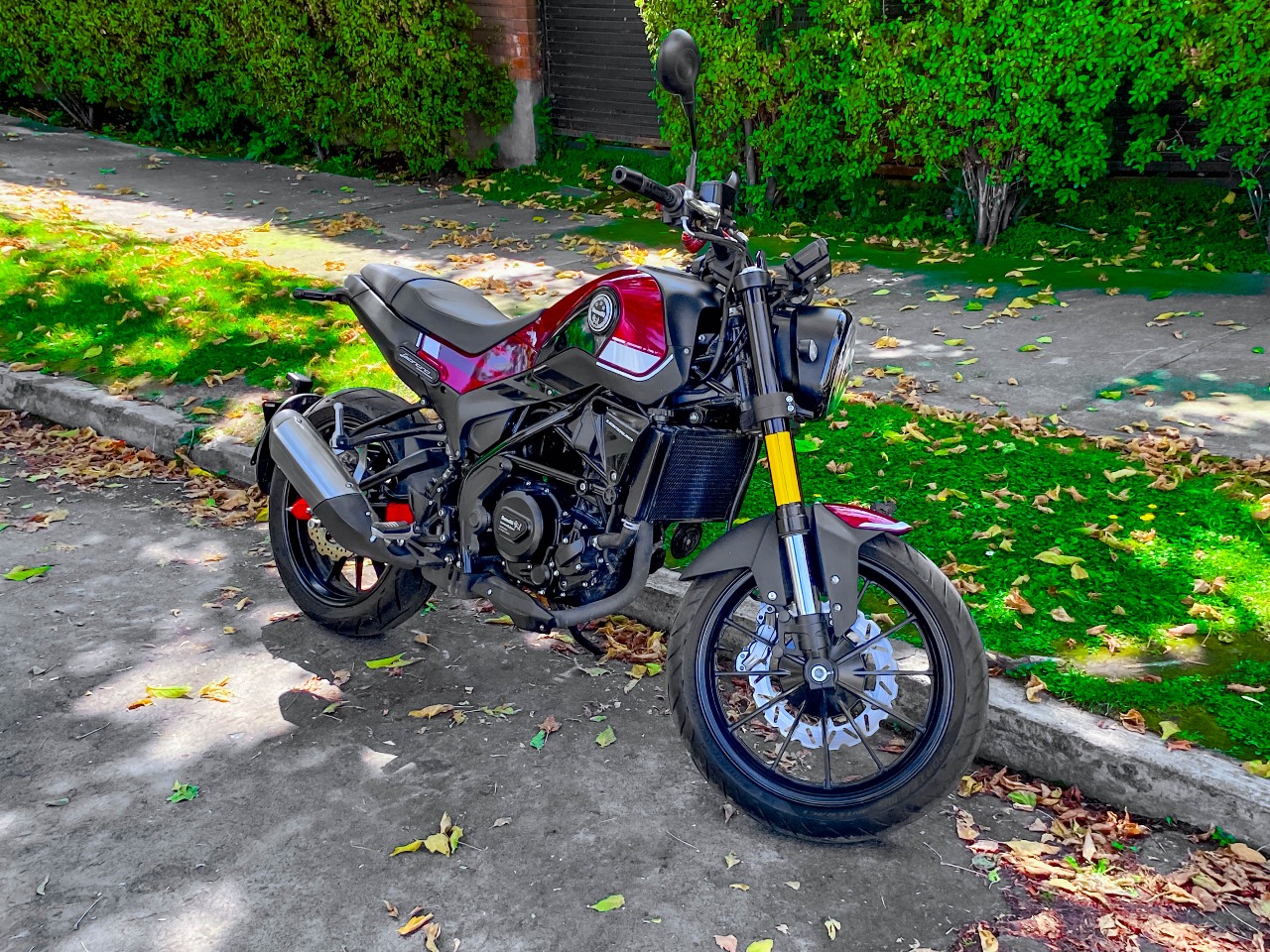 Benelli Leoncino 250 — foto 5 de 11