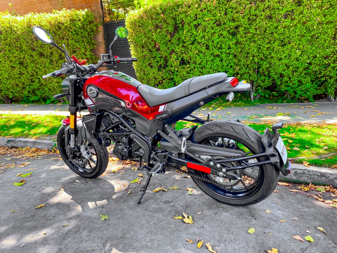 Benelli Leoncino 250 — foto 2 de 11