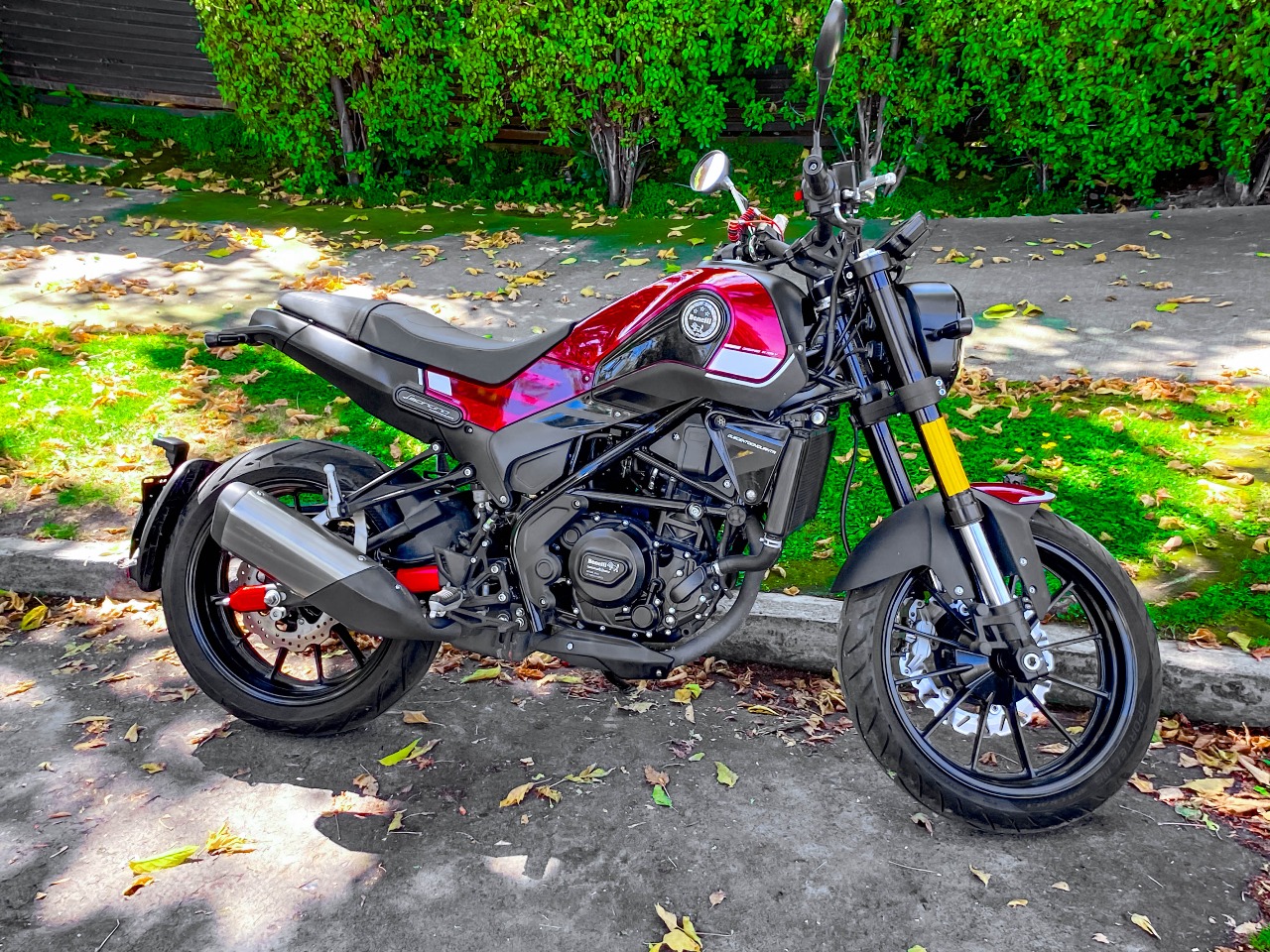 Benelli Leoncino 250