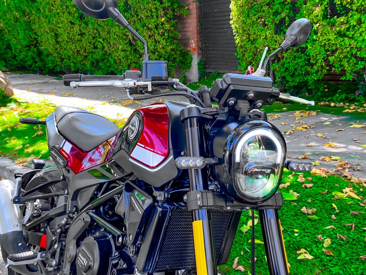 Benelli Leoncino 250 — foto 4 de 11
