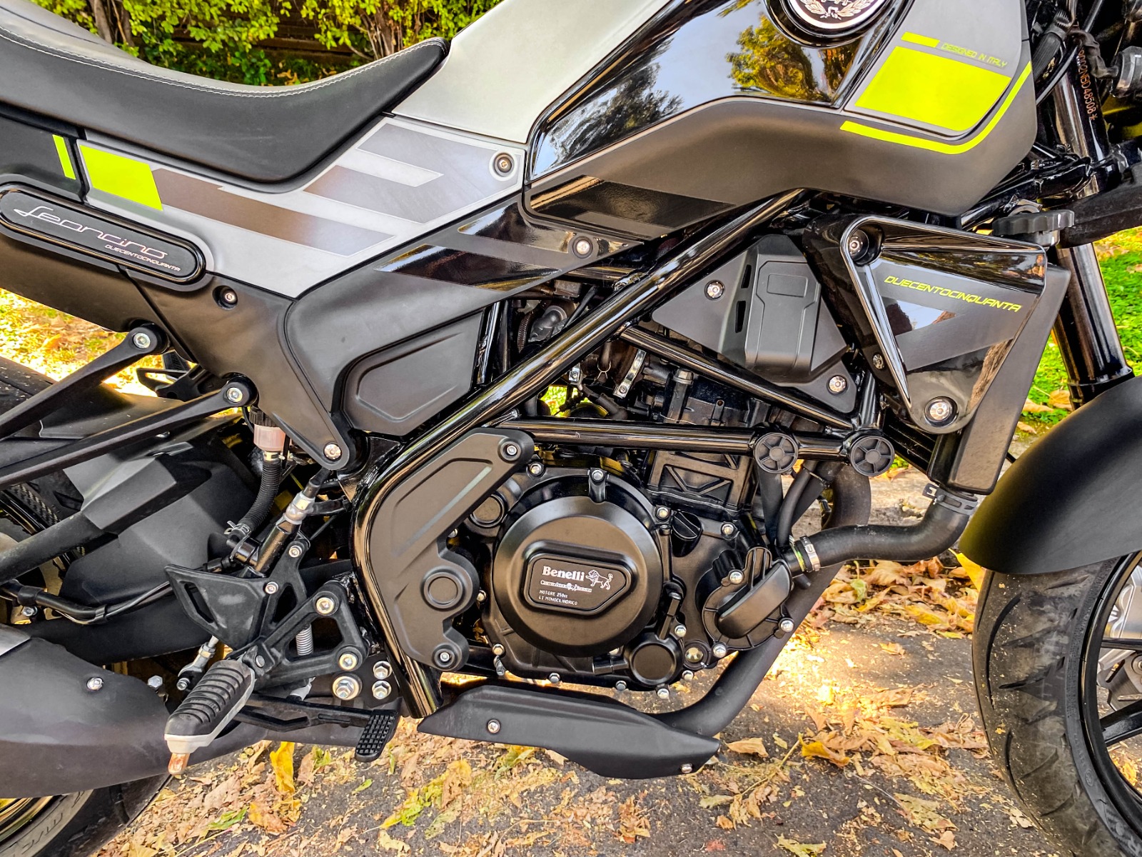 Benelli Leoncino 250 — foto 7 de 7