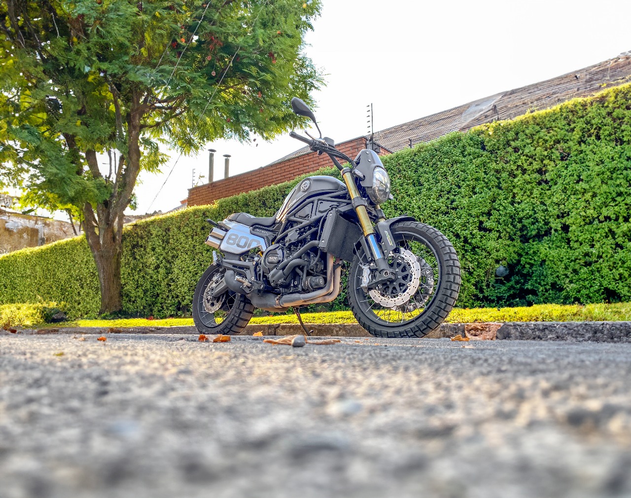 Benelli Leoncino 800 Trail — foto 3 de 11