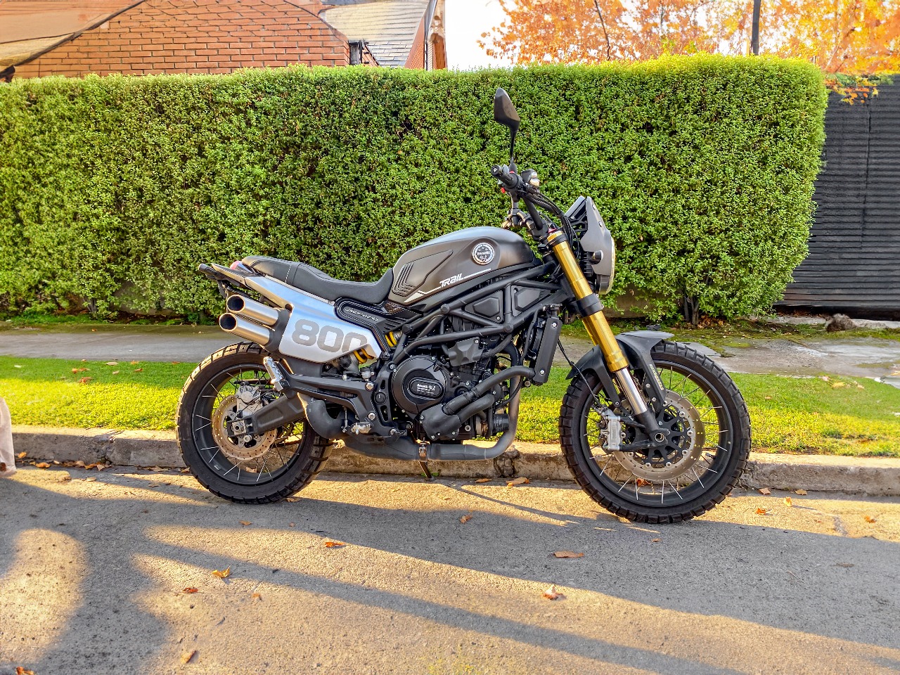 Benelli Leoncino 800 Trail