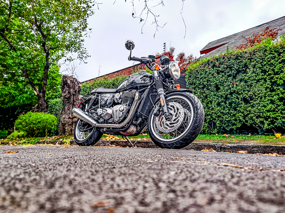 Triumph Truxton 2019