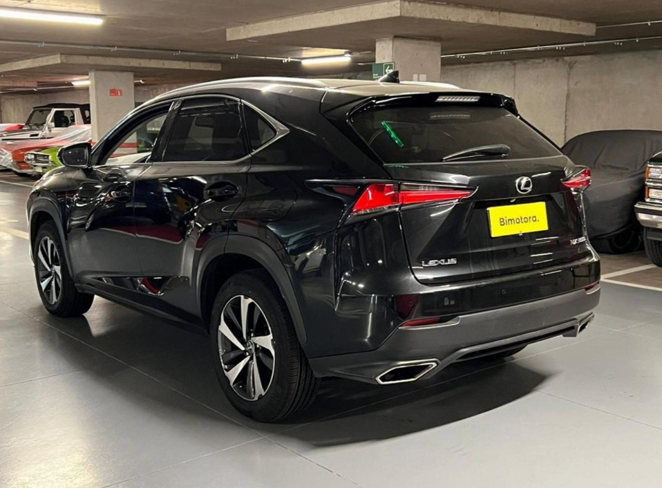 Lexus Nx300 — foto 3 de 19