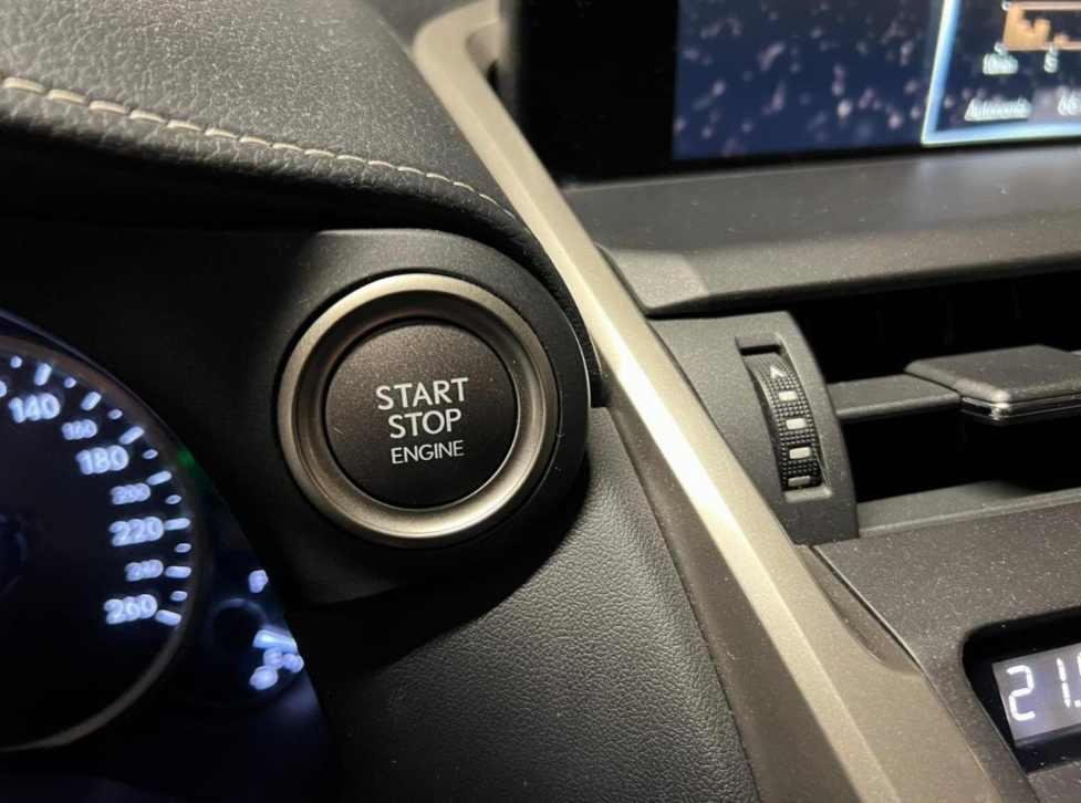 Lexus Nx300 — foto 10 de 19