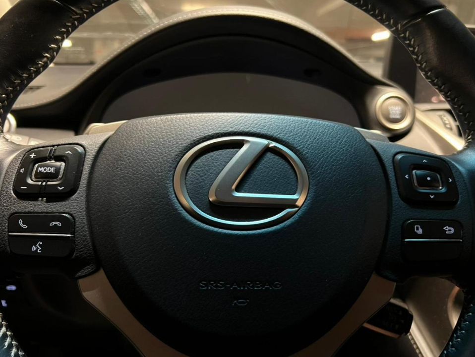 Lexus Nx300 — foto 7 de 19