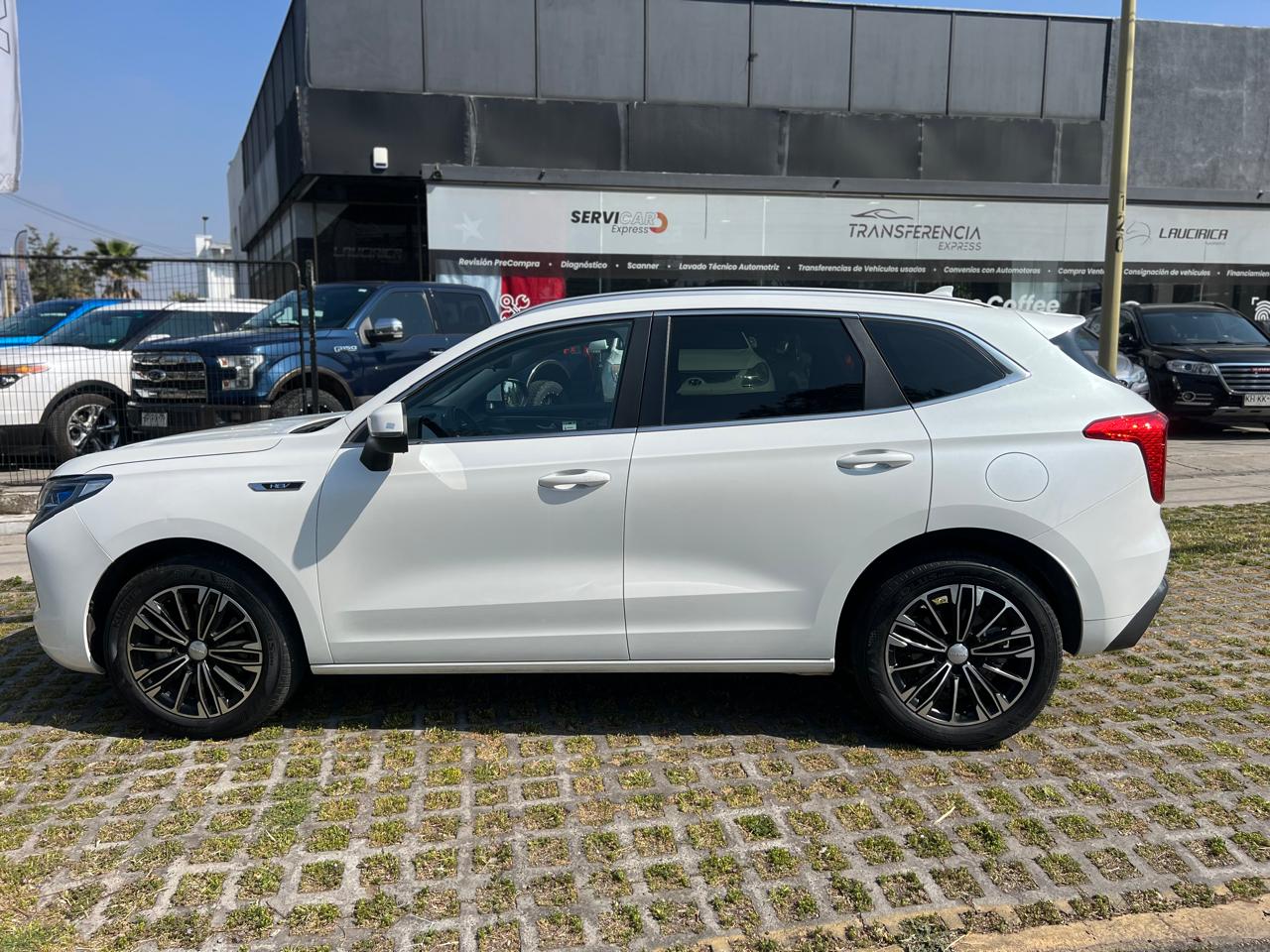 Haval Jolion — foto 20 de 20