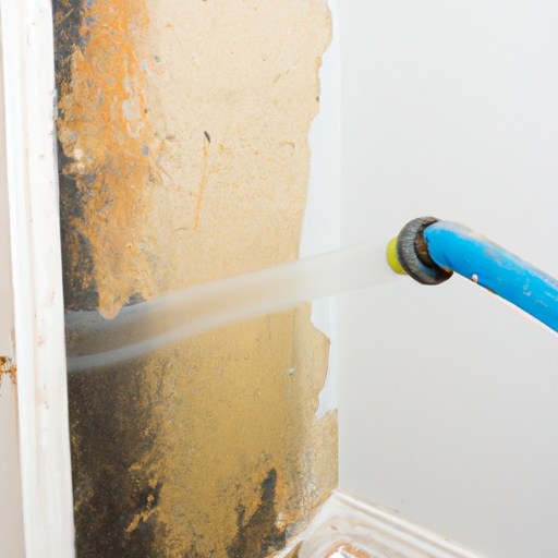 **Professional Mold Remediation Services**