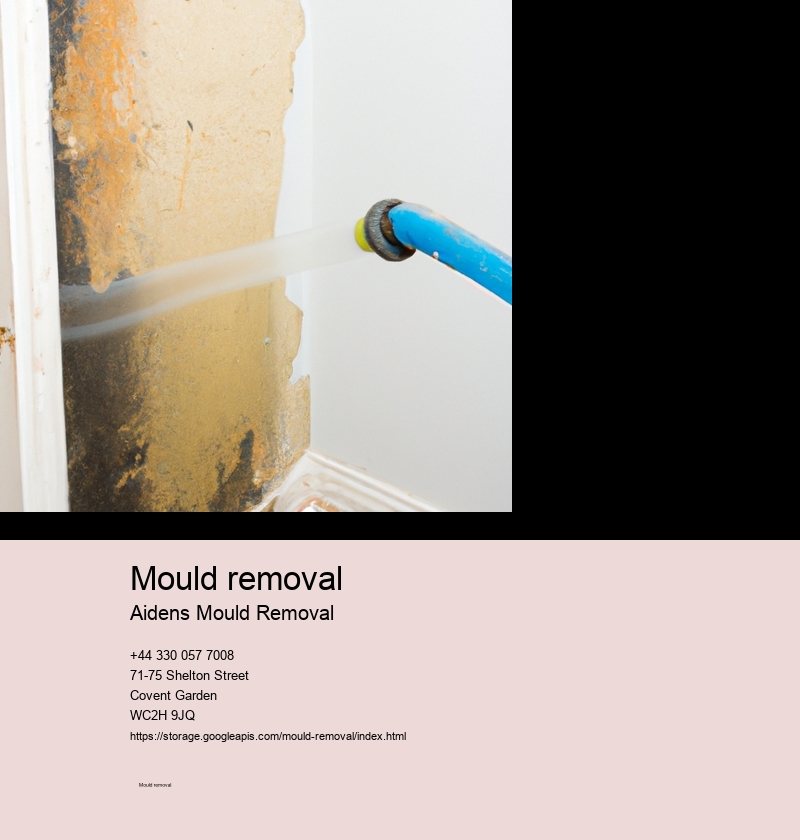 The Ultimate Guide to Mould Removal: Tips, Tricks, and Techniques