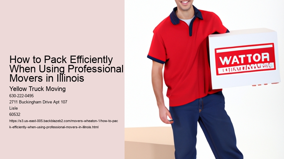 How to Pack Efficiently When Using Professional Movers in Illinois