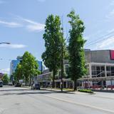 Photograph of Hamilton Street (between Georgia & Dunsmuir).