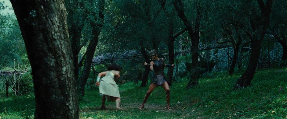 Teenage Diana trains with Antiope in the orchard.