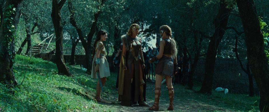 Hippolyta calls out Antiope for training Diana against her wishes.