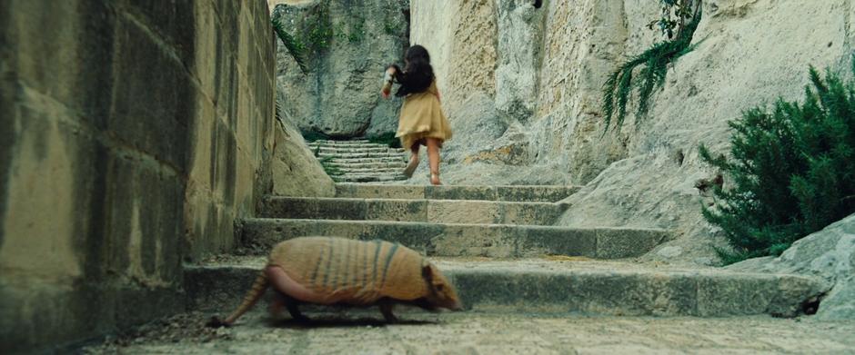 Young Diana runs up the stairs while an Armadillo walks across in the foreground.