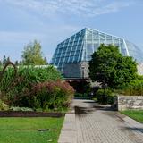 Photograph of Butterfly Conservatory.