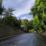 Photograph of Turner Road (between Hillcrest & Davenport).