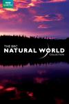 Poster for The Natural World.