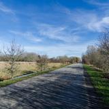 Photograph of North 40 Dog Park.